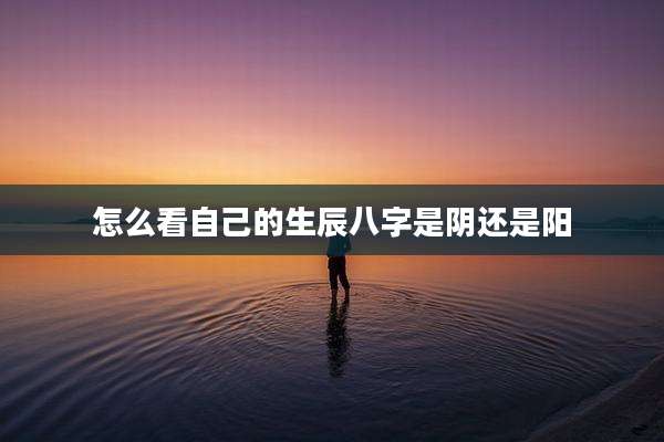 怎么看自己的生辰八字是阴还是阳