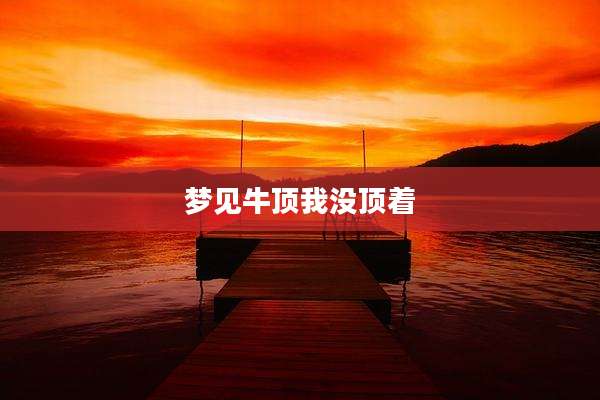 梦见牛顶我没顶着