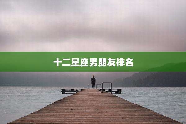 十二星座男朋友排名