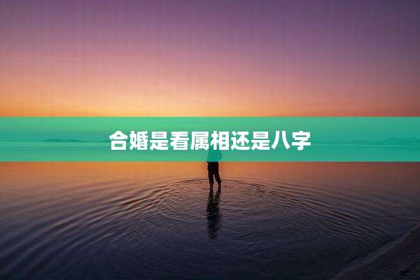 合婚是看属相还是八字