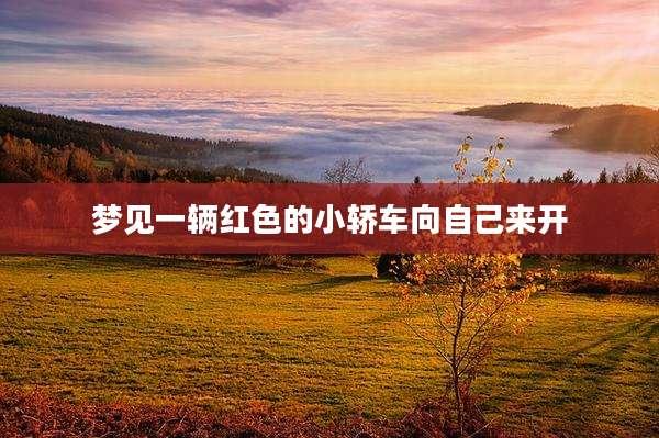 梦见一辆红色的小轿车向自己来开
