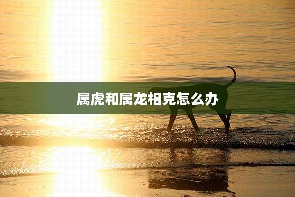 属虎和属龙相克怎么办