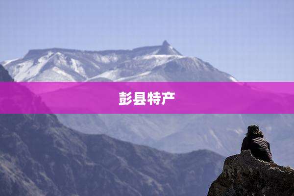 彭县特产