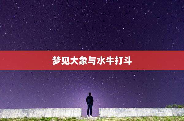梦见大象与水牛打斗
