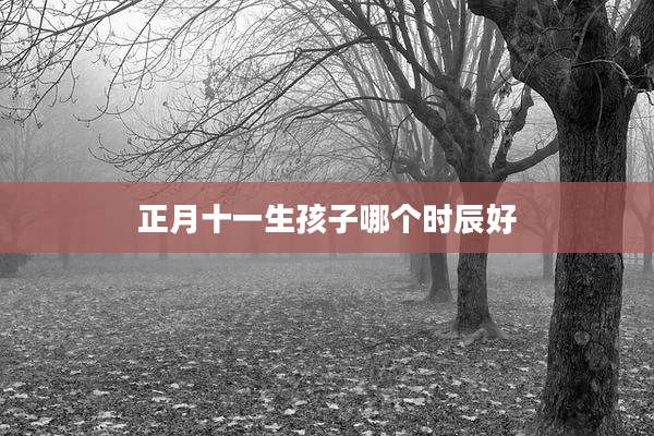 正月十一生孩子哪个时辰好