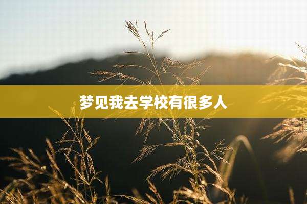 梦见我去学校有很多人