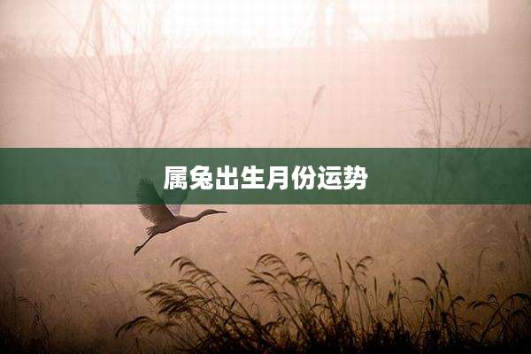 属兔出生月份运势