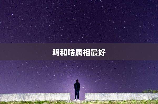 鸡和啥属相最好