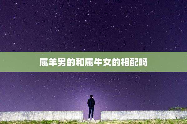 属羊男的和属牛女的相配吗