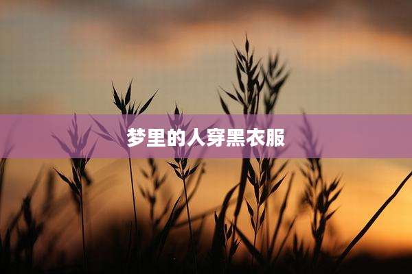 梦里的人穿黑衣服