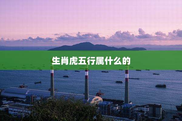 生肖虎五行属什么的