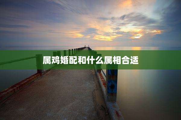 属鸡婚配和什么属相合适