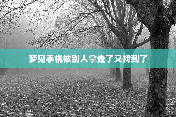 梦见手机被别人拿走了又找到了