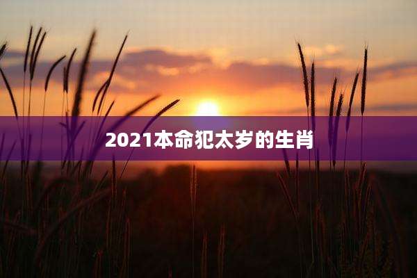 2021本命犯太岁的生肖