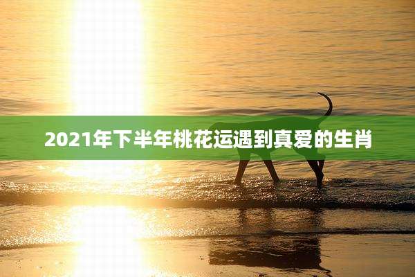 2021年下半年桃花运遇到真爱的生肖