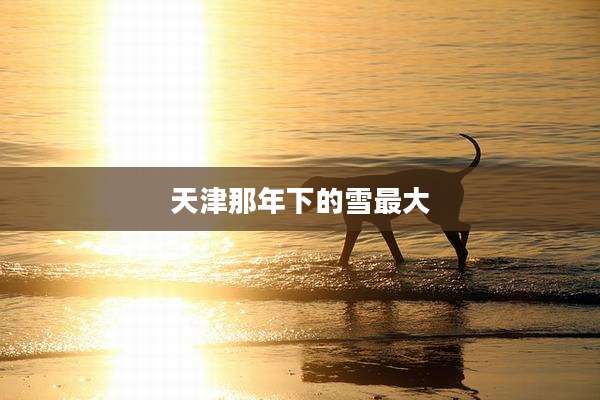 天津那年下的雪最大