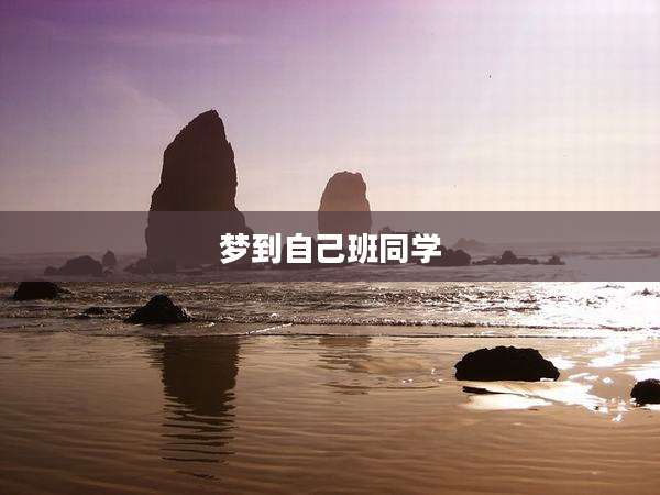 梦到自己班同学