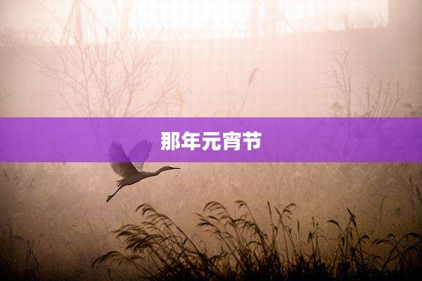 那年元宵节