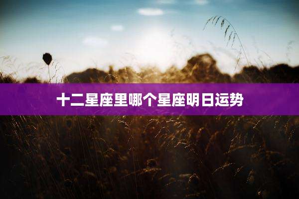 十二星座里哪个星座明日运势