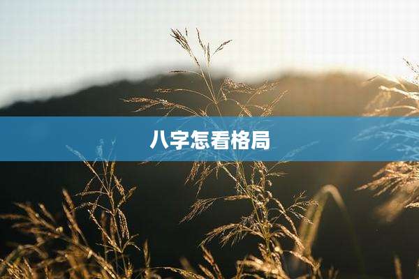 八字怎看格局