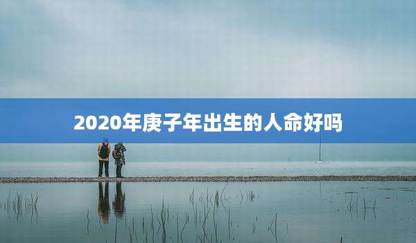 2020年庚子年出生的人命好吗