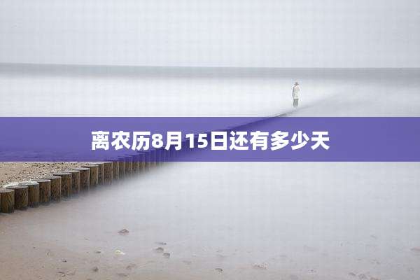 离农历8月15日还有多少天