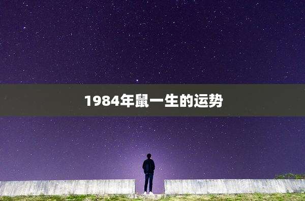 1984年鼠一生的运势