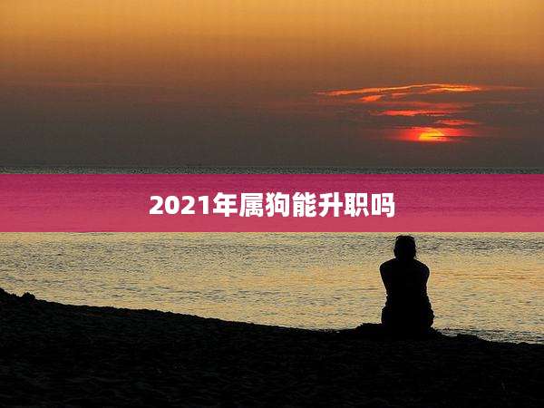 2021年属狗能升职吗