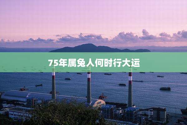 75年属兔人何时行大运