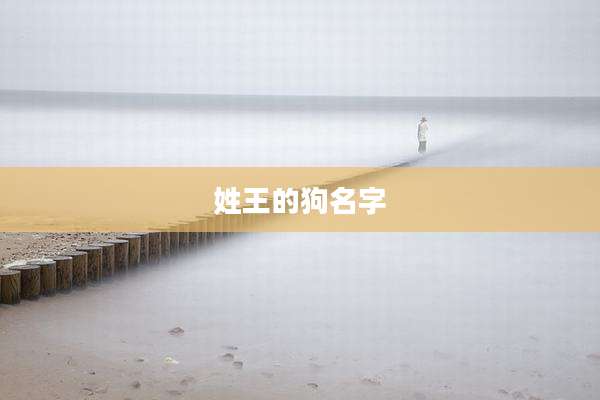 姓王的狗名字