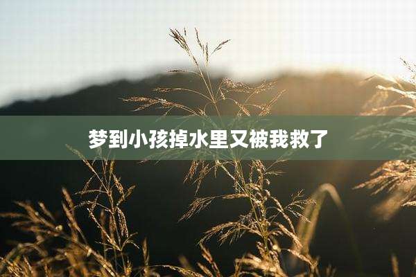 梦到小孩掉水里又被我救了