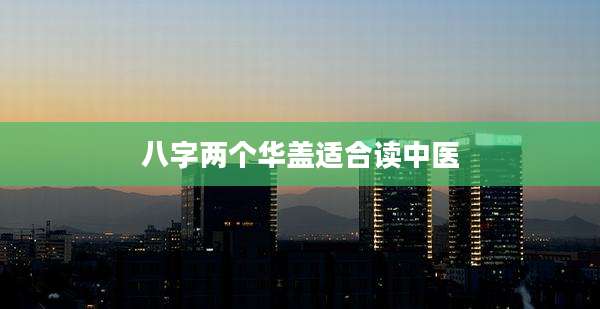 八字两个华盖适合读中医
