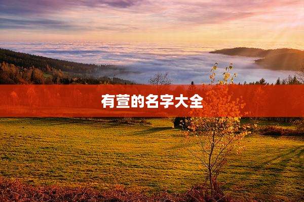 有萱的名字大全