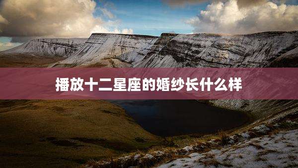 播放十二星座的婚纱长什么样