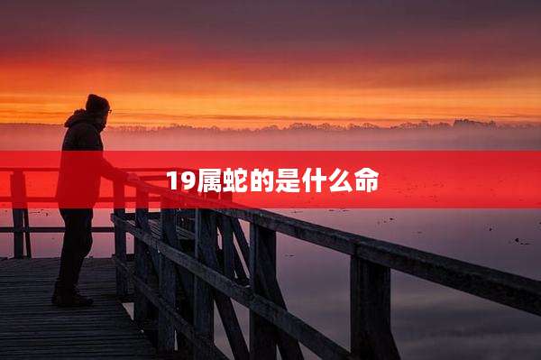 19属蛇的是什么命