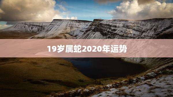 19岁属蛇2020年运势