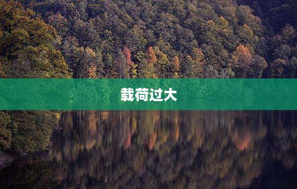 载荷过大