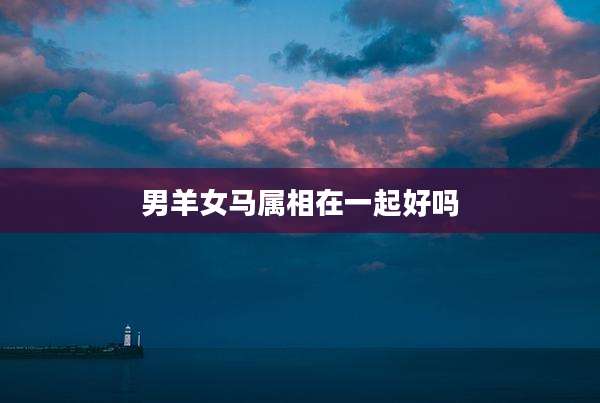男羊女马属相在一起好吗
