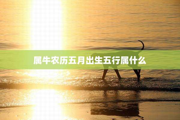 属牛农历五月出生五行属什么