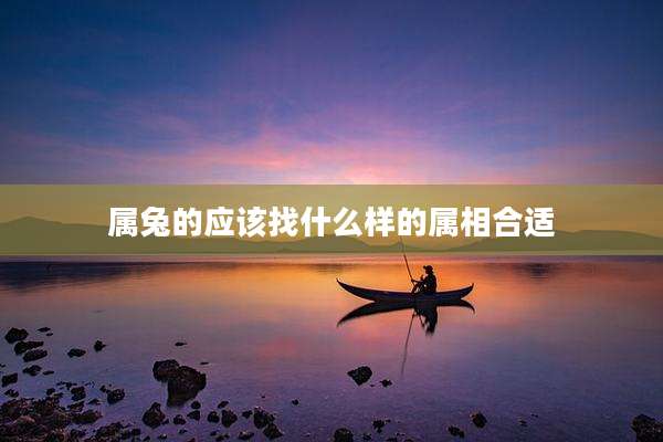 属兔的应该找什么样的属相合适