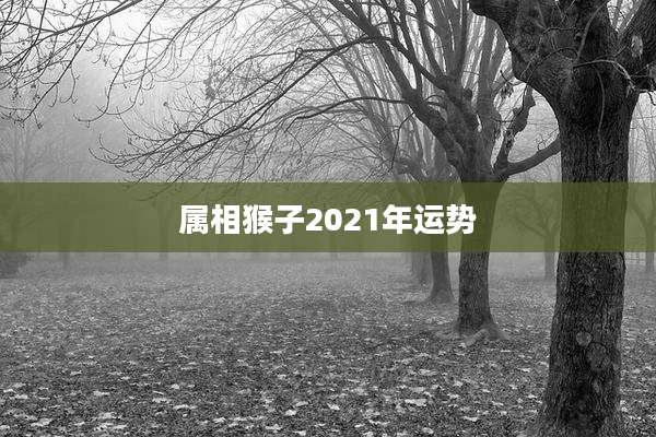 属相猴子2021年运势