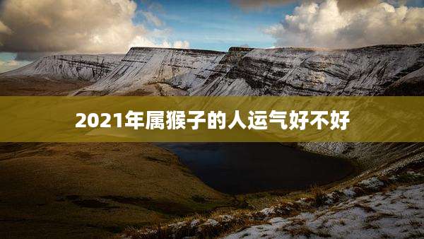 2021年属猴子的人运气好不好