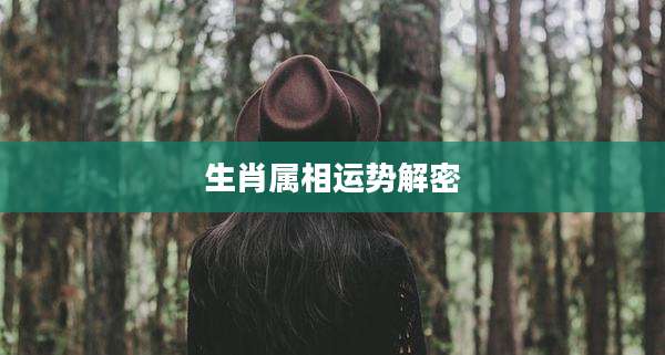生肖属相运势解密