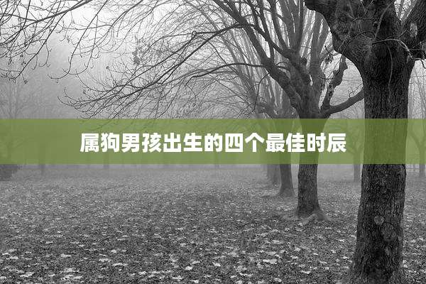 属狗男孩出生的四个最佳时辰