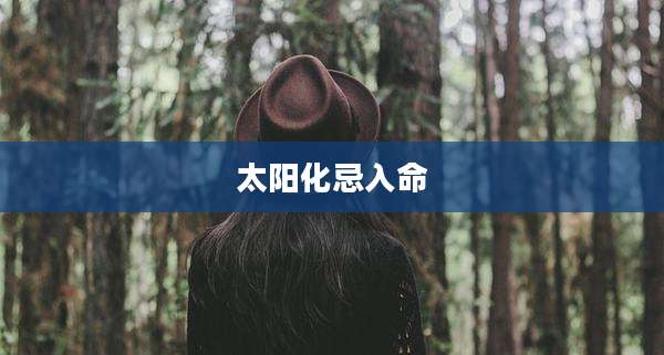 太阳化忌入命