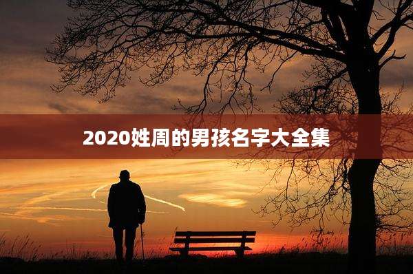 2020姓周的男孩名字大全集