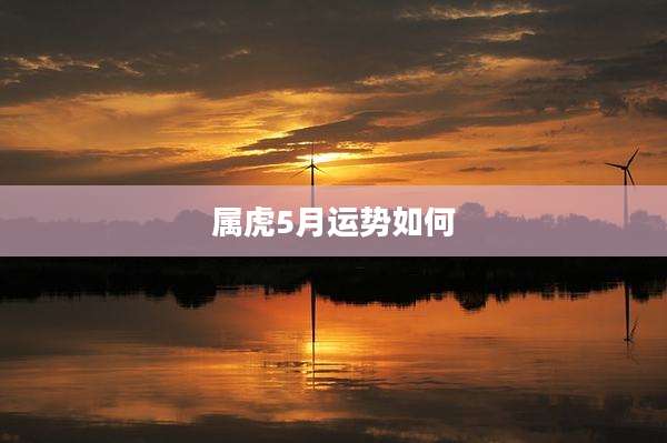 属虎5月运势如何