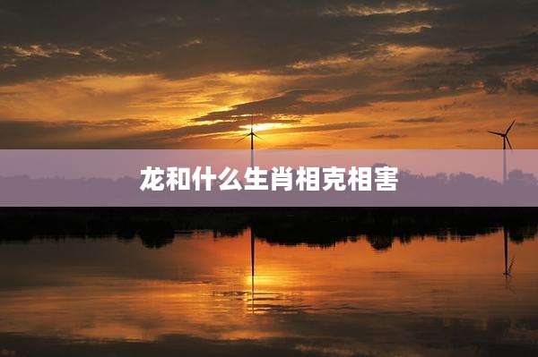 龙和什么生肖相克相害