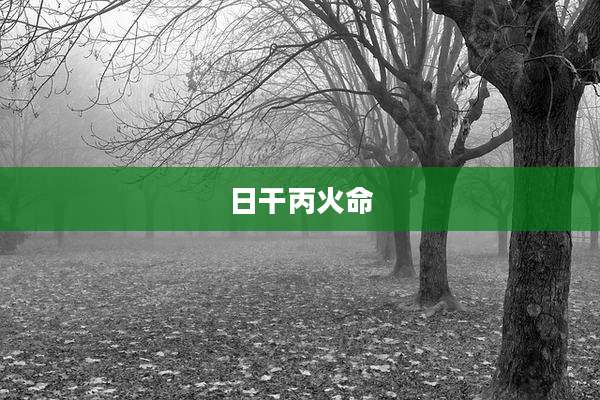 日干丙火命