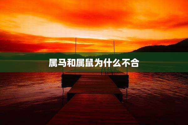 属马和属鼠为什么不合